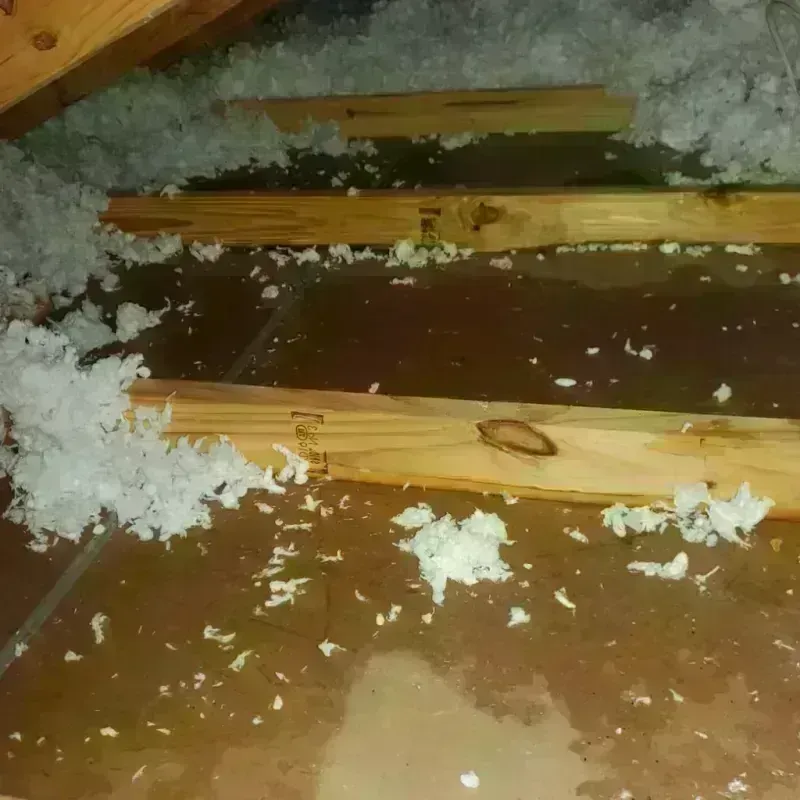 Attic Water Damage in Walthall, MS